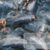 Market-insights-for-exporting-Agriculture-and-Fisheries-to-the-World