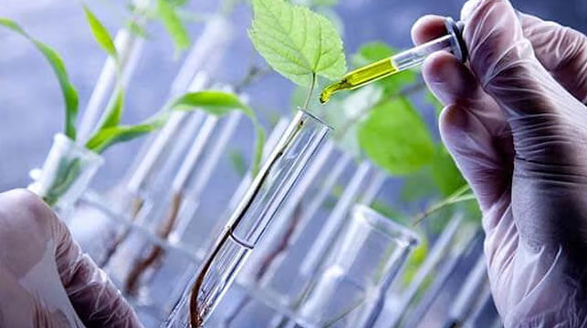 Research-&-Development Research-&-Development